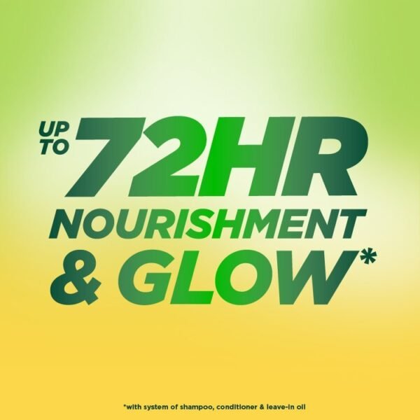Garnier Fructis Triple Nutrition Nourishing Shampoo 370ml | Revitalize Your Hair - Image 3