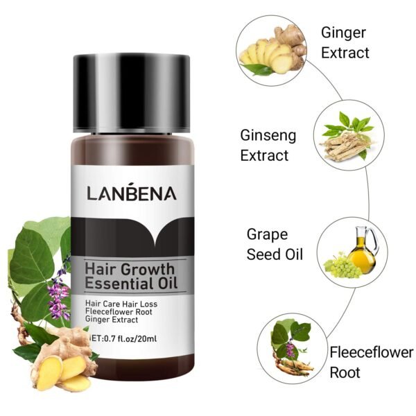 Lanbena Hair Nourishing Essential Oil 20ml | Promote Hair Growth & Nourish Scalp | P.R.C - Image 3
