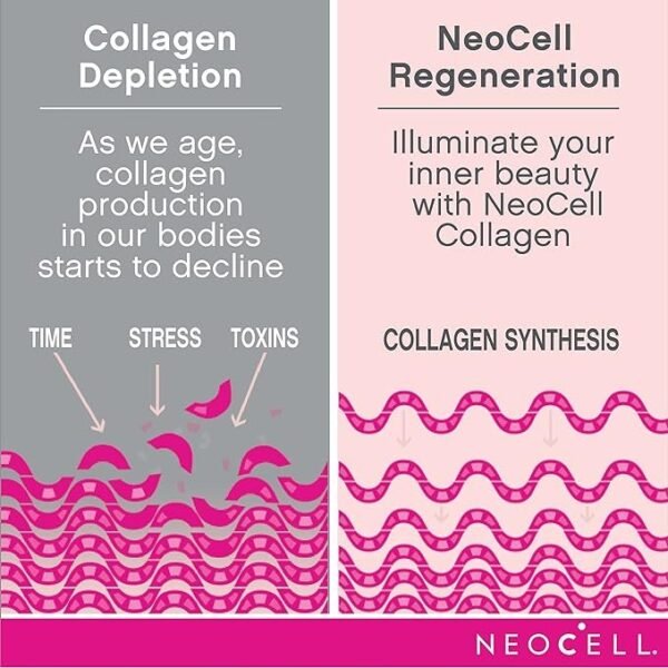 NeoCell Super Collagen With Vitamin C and Biotin 270 Tablets | Ultimate Beauty Supplement - Image 3