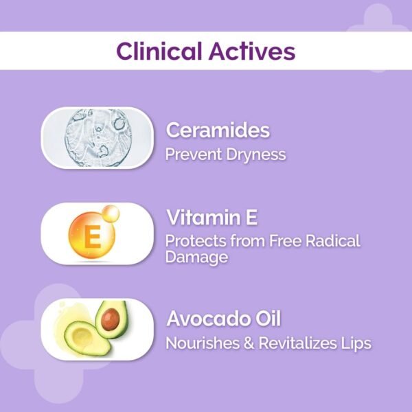 Derma Co 1% Ceramide Complex Lip Balm - Ultimate Lip Hydration and Repair - Image 4