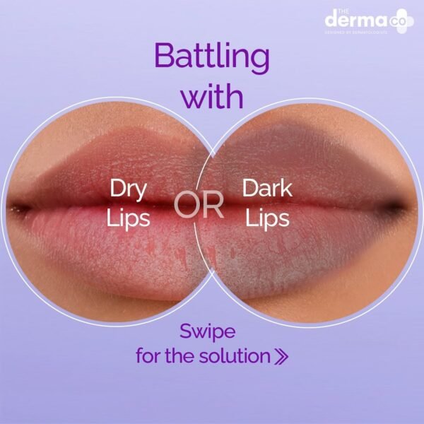 Derma Co 1% Ceramide Complex Lip Balm - Ultimate Lip Hydration and Repair - Image 2
